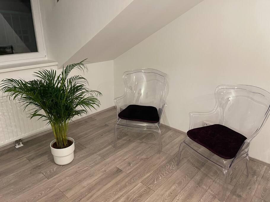 Апартаменты Dachterrasse Fuer 4 Personen Вена Экстерьер фото